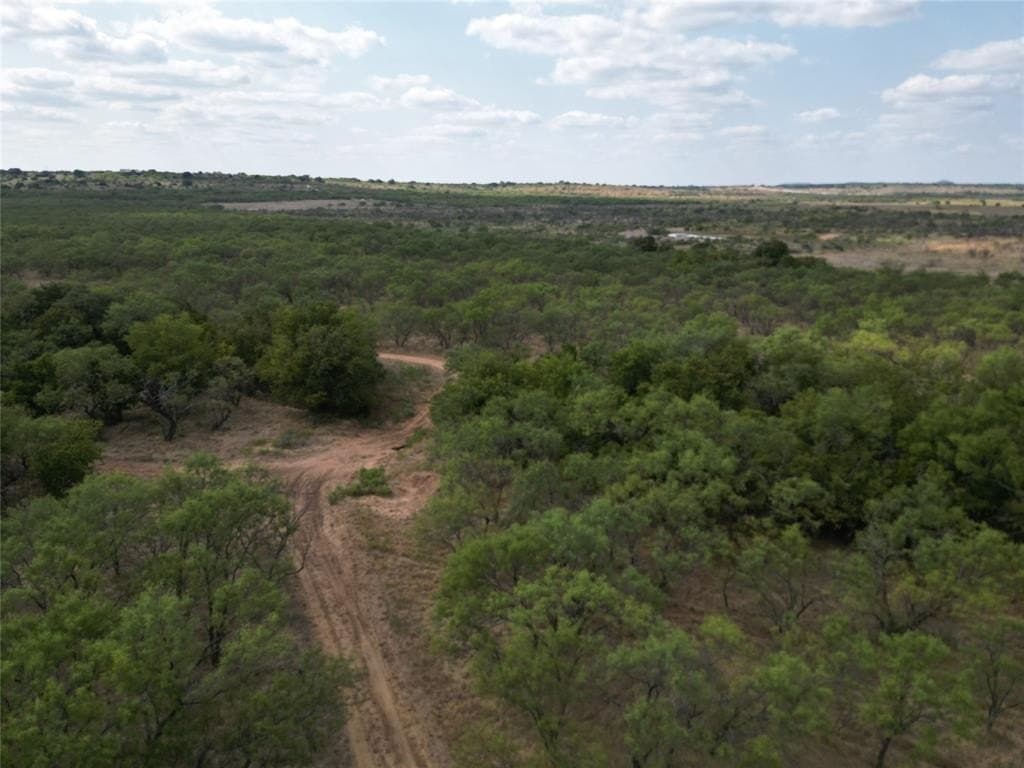 202.21 acres in Callahan County gallery image 3