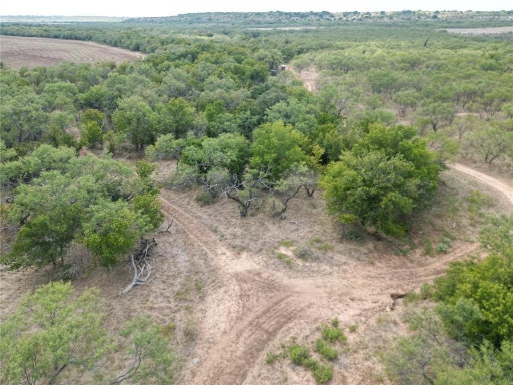 202.21 acres in Callahan County gallery image 4