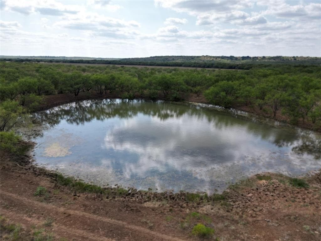 202.21 acres in Callahan County gallery image 2