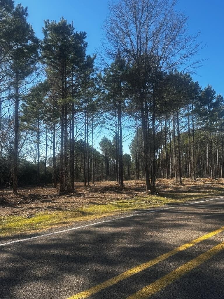 34 acres in Texas County gallery image 3