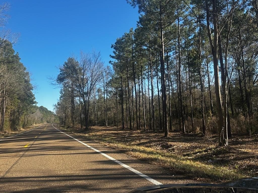 34 acres in Texas County gallery image 4
