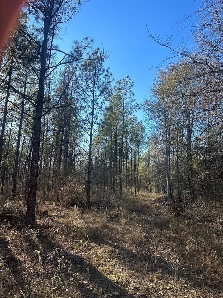 34 acres in Texas County featured view