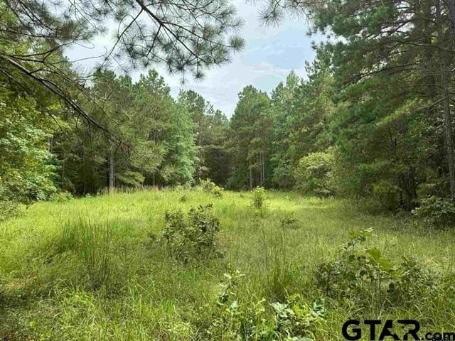 45 acres in Cherokee County gallery image 2
