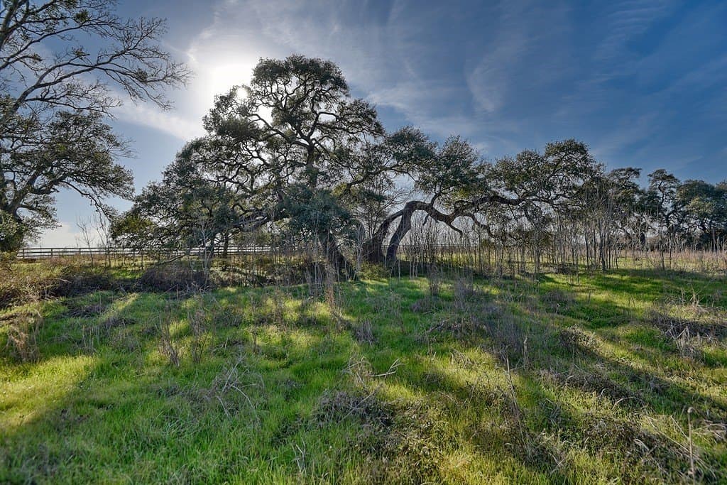 47.7 acres in Washington County - photo 7