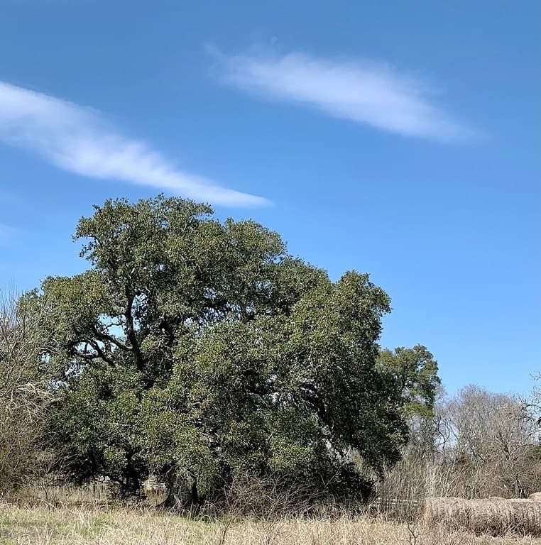 47.7 acres in Washington County - photo 10