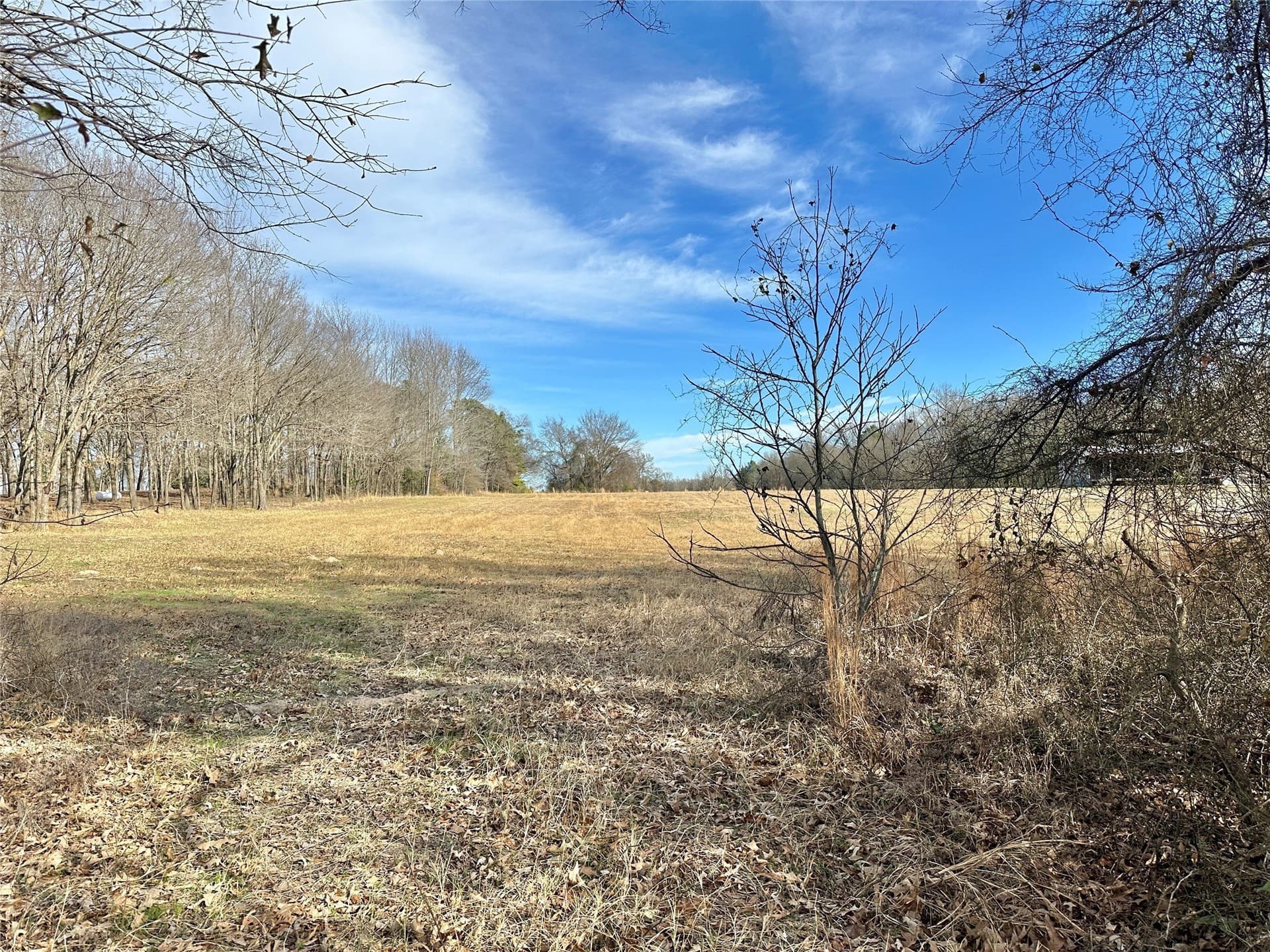 10.49 acres in Hopkins County gallery image 2