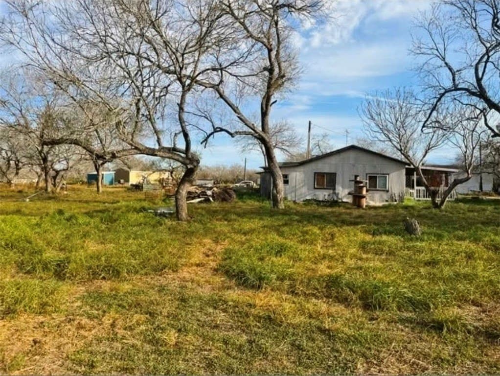 1 acres in Bee County gallery image 2