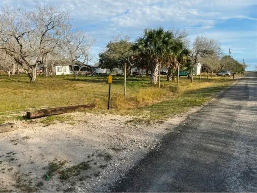 1 acres in Bee County gallery image 4