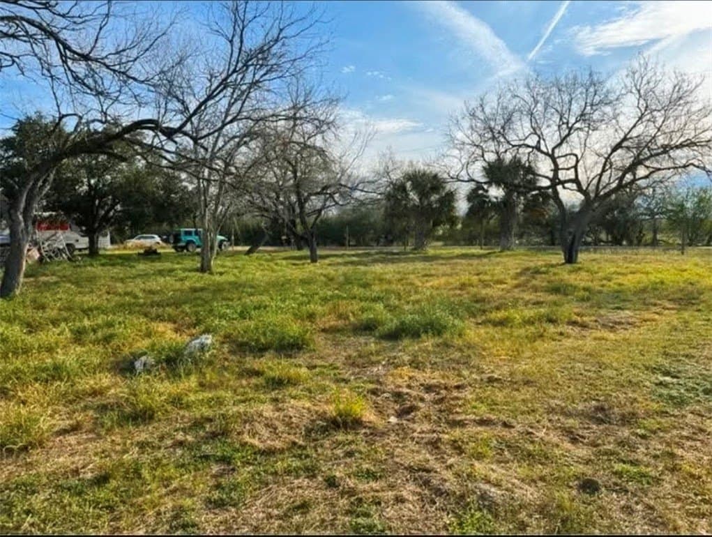 1 acres in Bee County gallery image 3