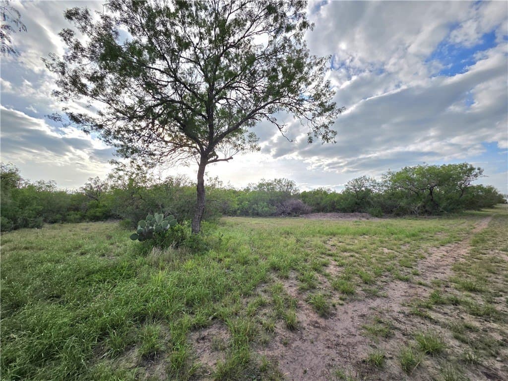 150 acres in Duval County - photo 24