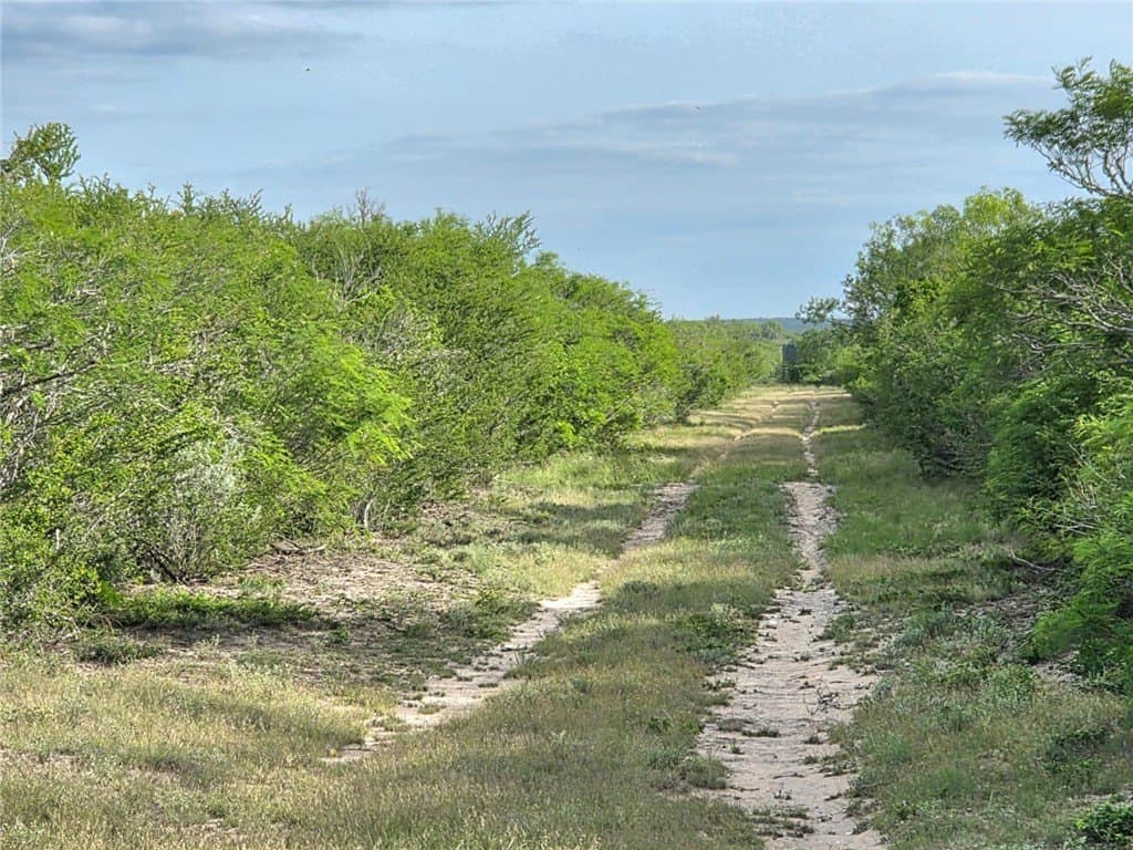 150 acres in Duval County gallery image 4