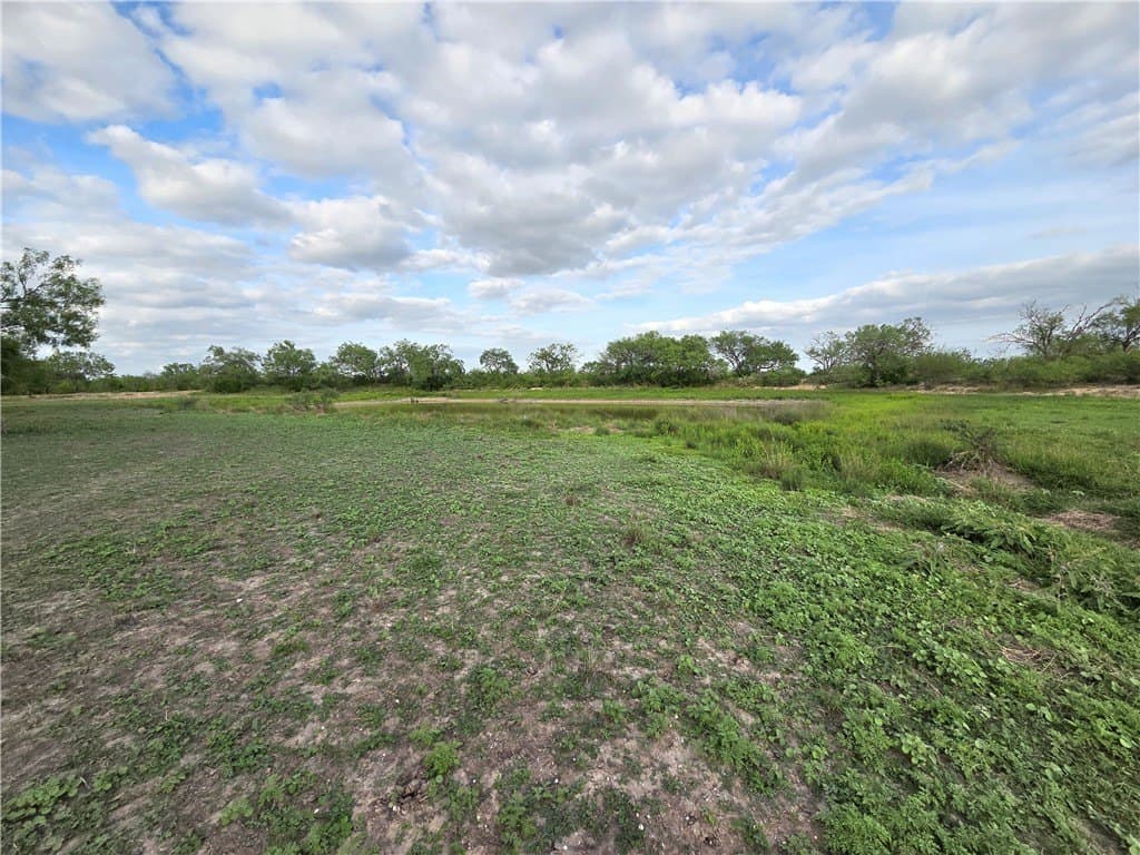 150 acres in Duval County - photo 21