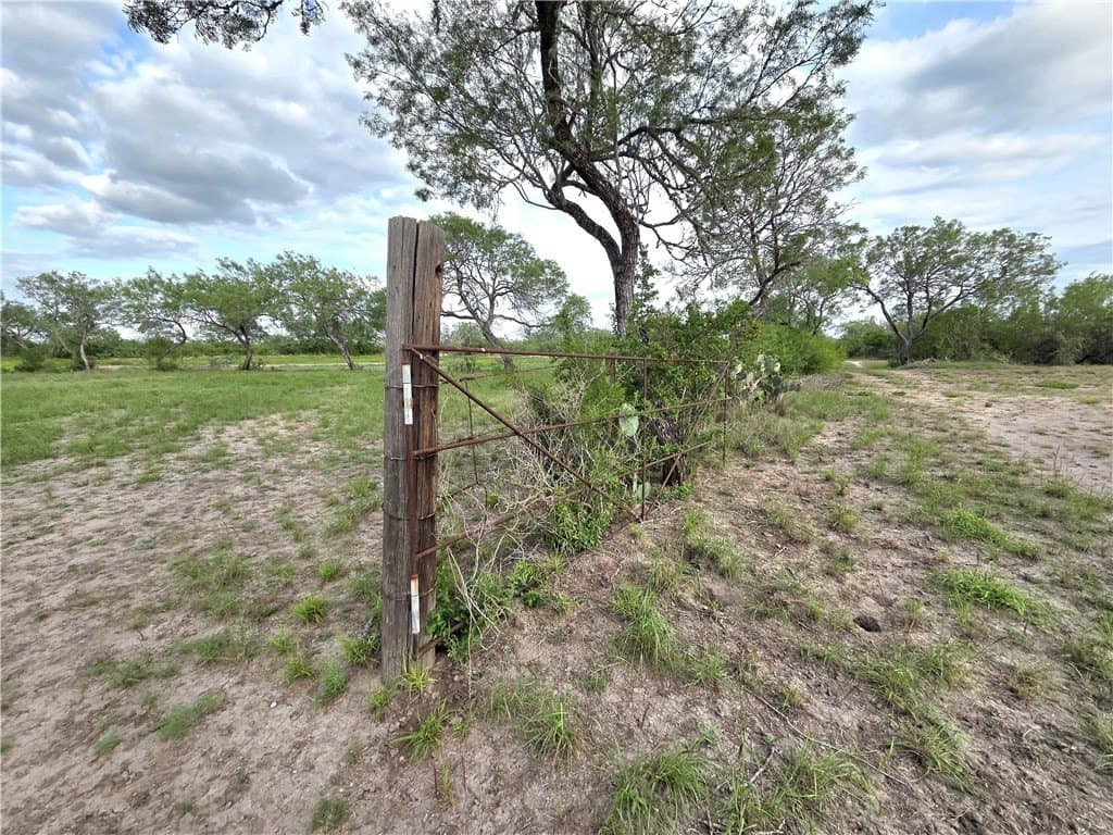 150 acres in Duval County - photo 8
