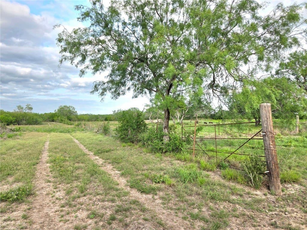 150 acres in Duval County - photo 9