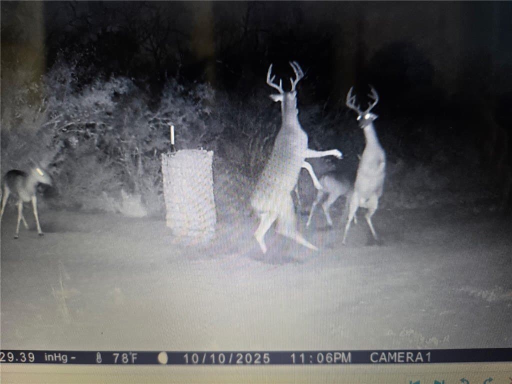 150 acres in Duval County gallery image 2