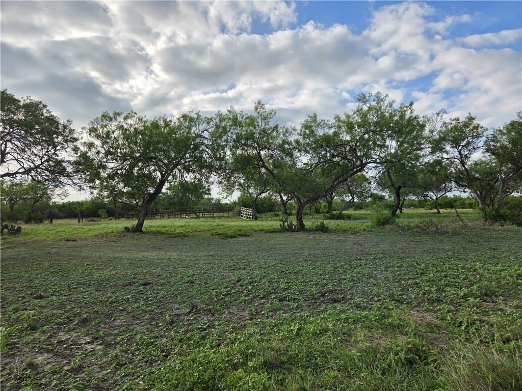 150 acres in Duval County - photo 13