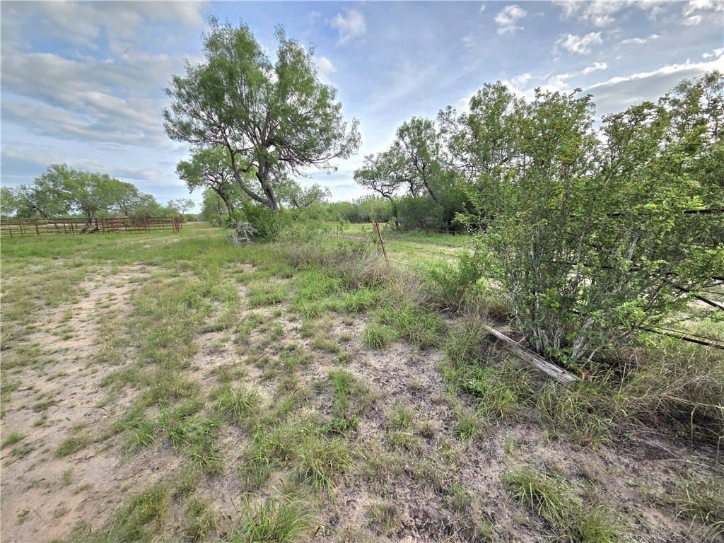 150 acres in Duval County - photo 10