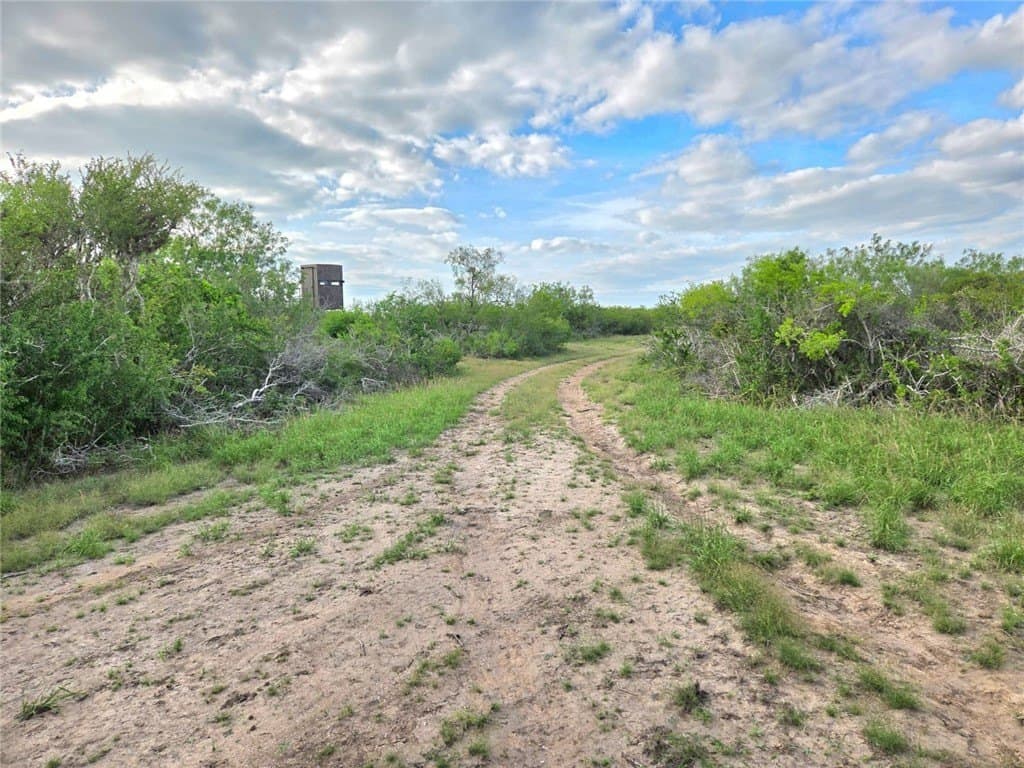 150 acres in Duval County - photo 26