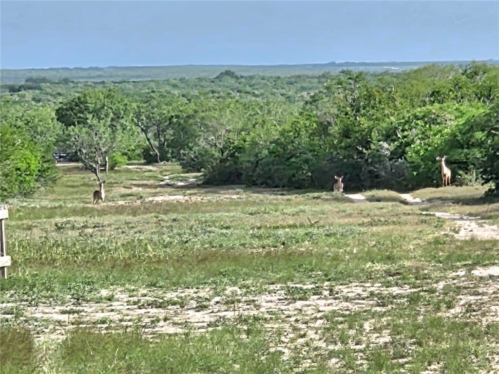 150 acres in Duval County - photo 15