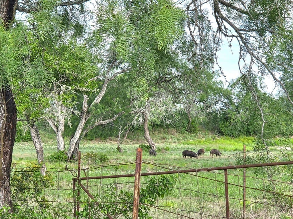 150 acres in Duval County - photo 14