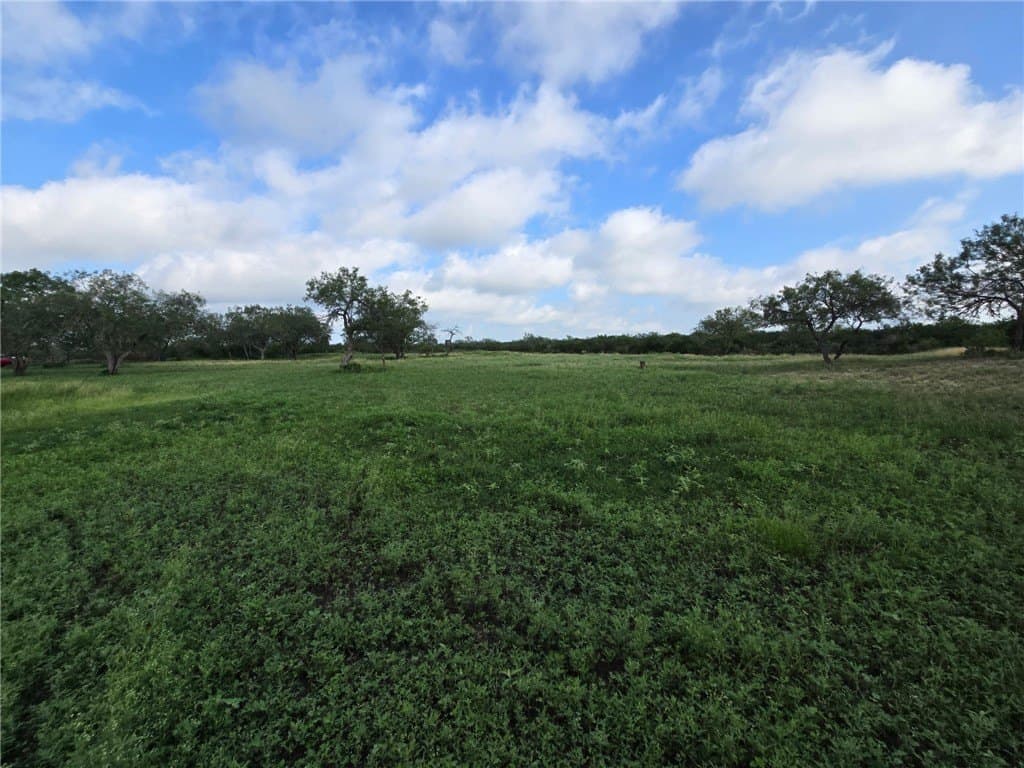 150 acres in Duval County - photo 38