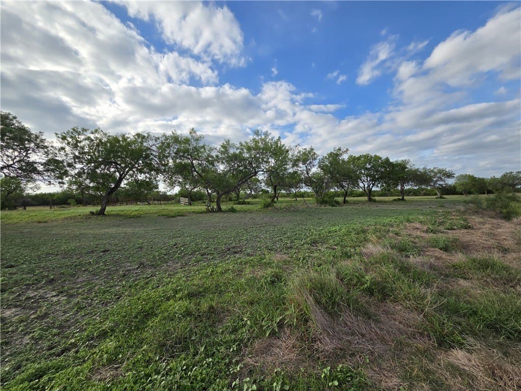 150 acres in Duval County - photo 19