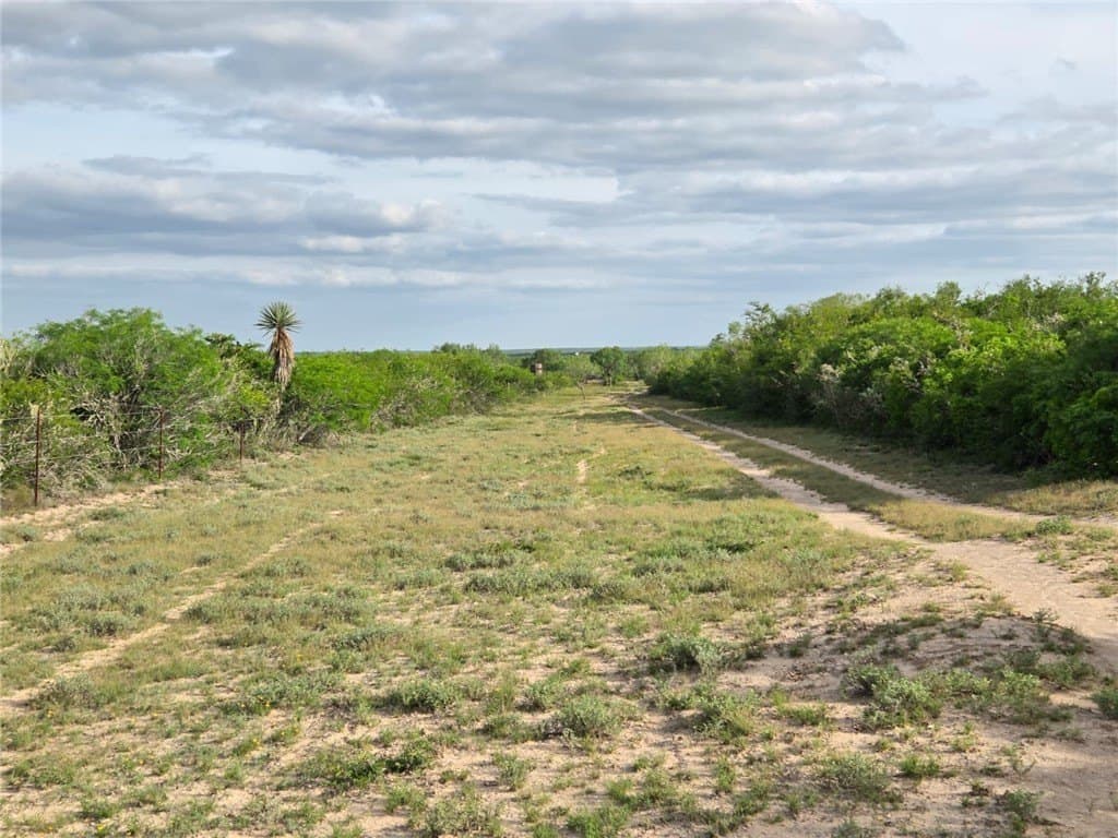 150 acres in Duval County - photo 12