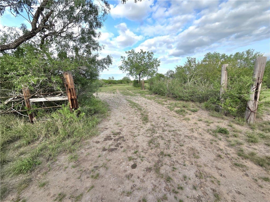 150 acres in Duval County - photo 29