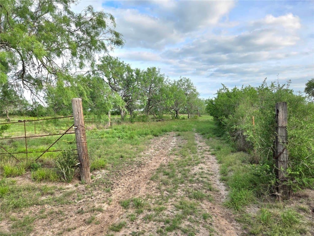 150 acres in Duval County - photo 11