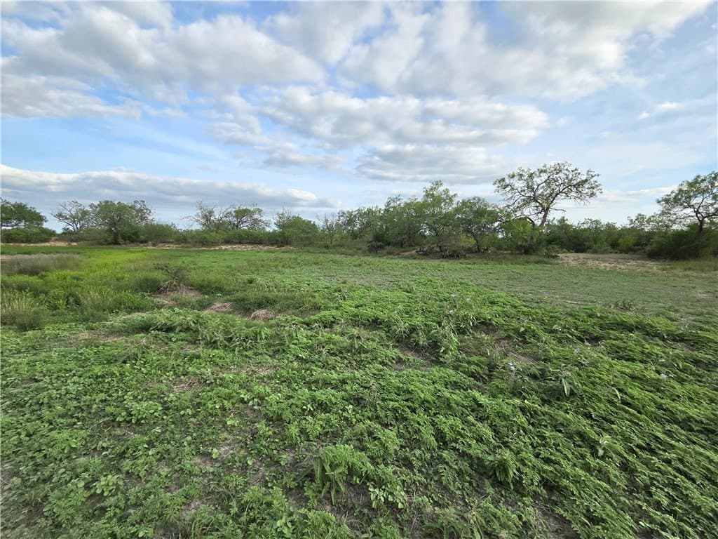 150 acres in Duval County - photo 18