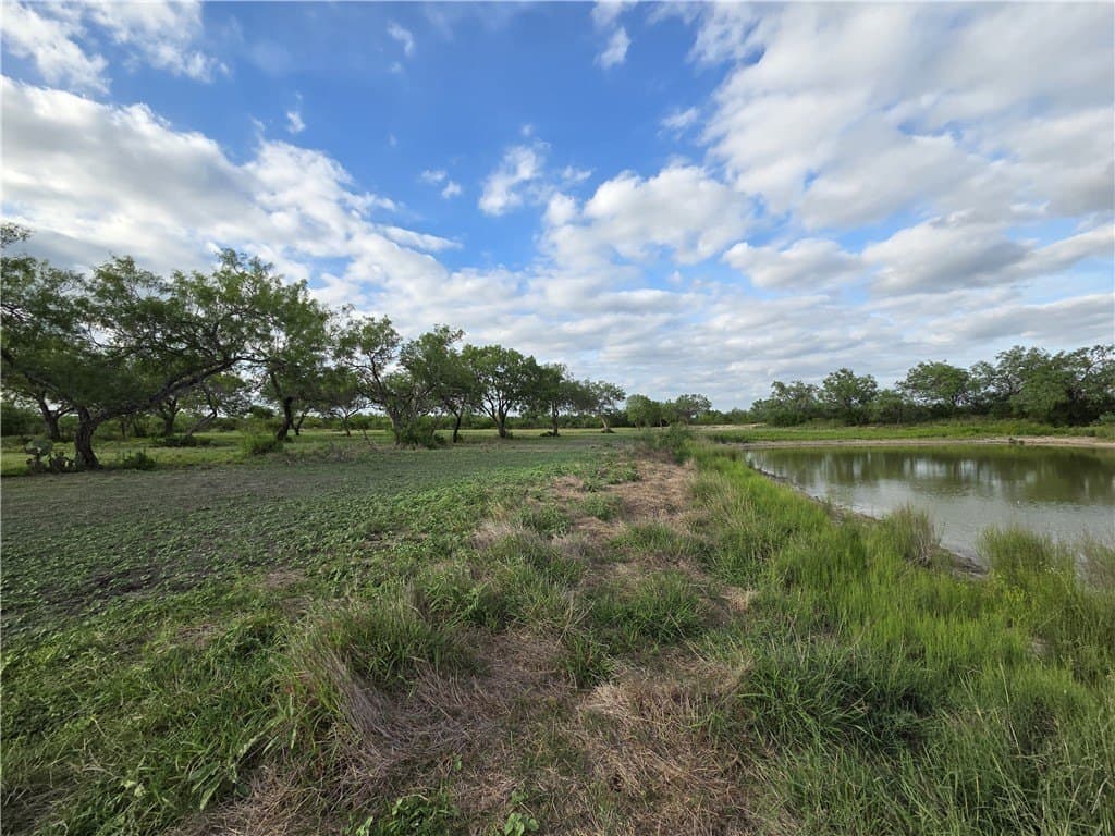 150 acres in Duval County - photo 23