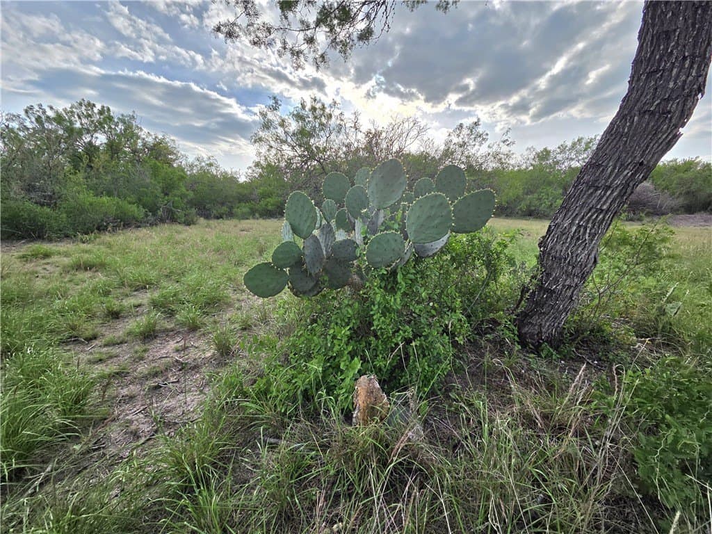 150 acres in Duval County - photo 27