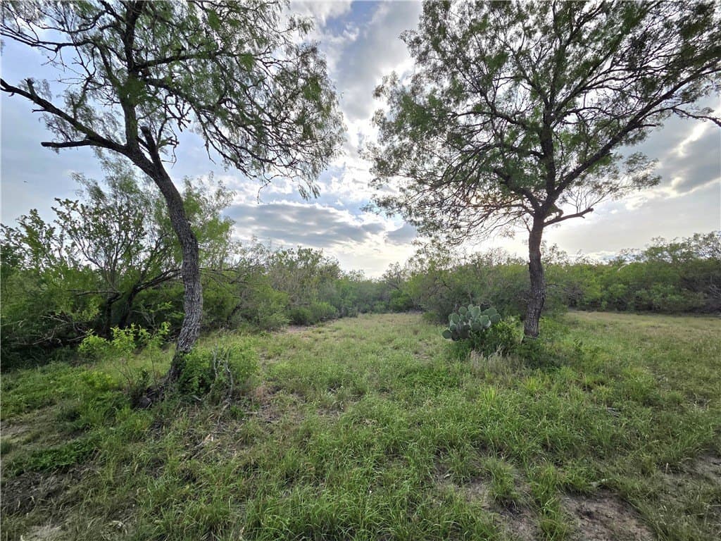 150 acres in Duval County - photo 22