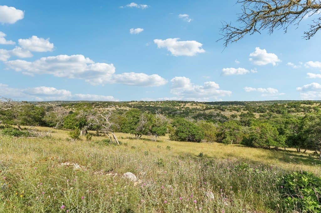 40.81 acres in Gillespie County gallery image 2