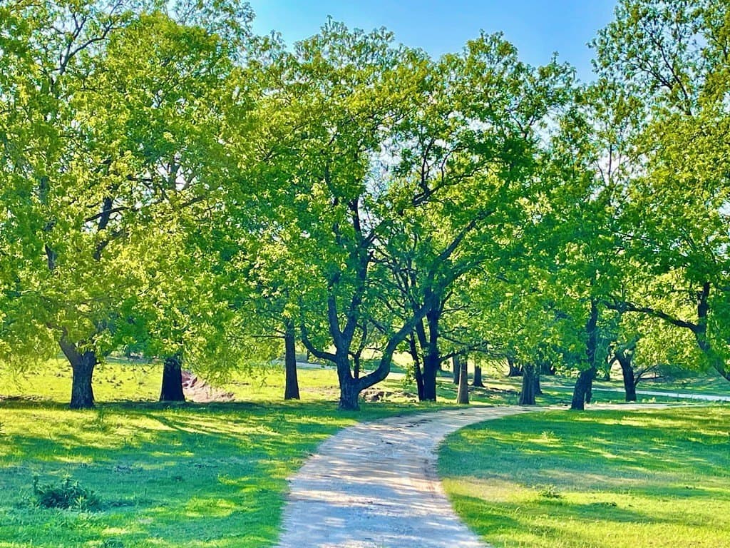 23.89 acres in Gillespie County featured view