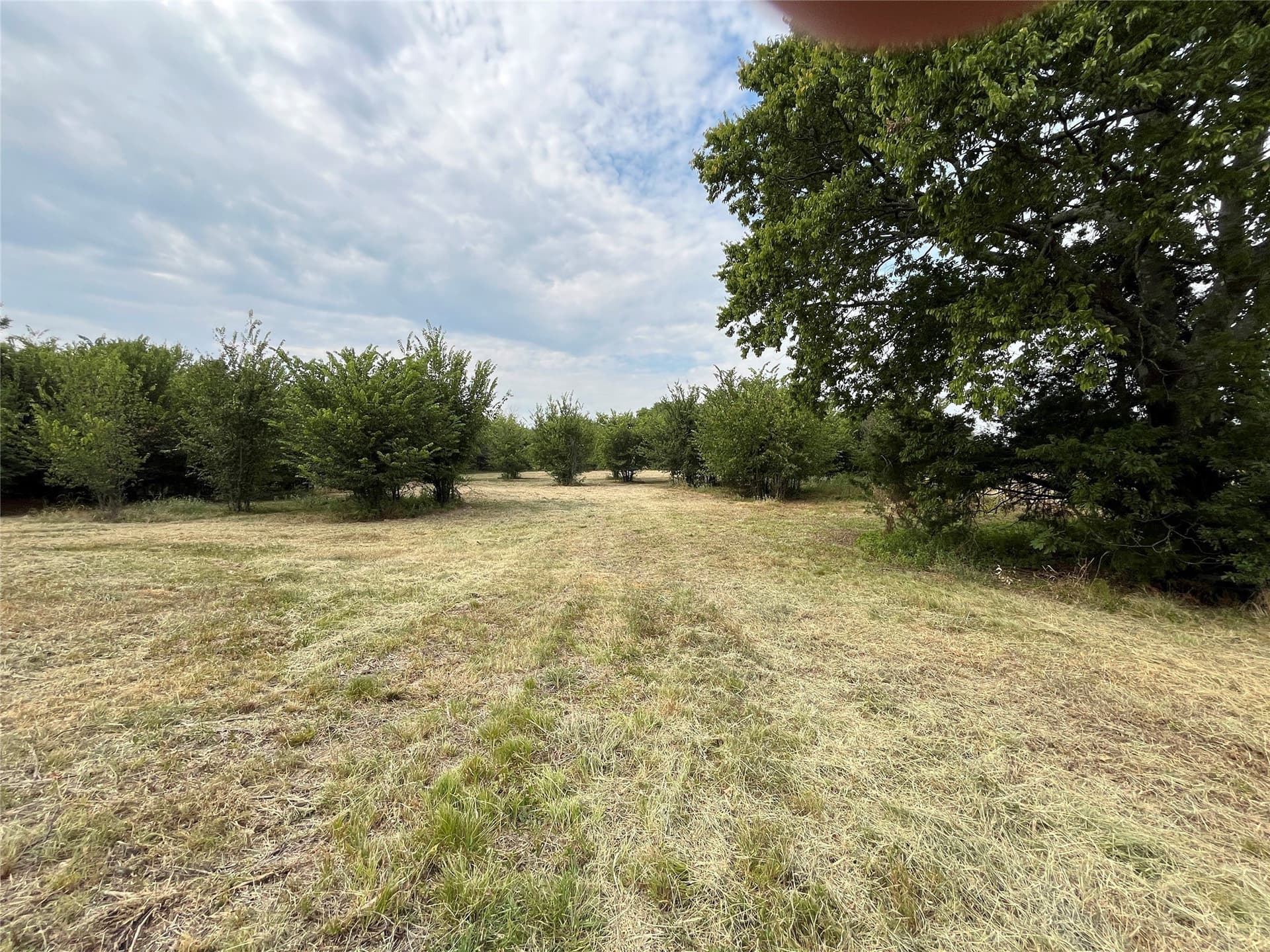 5.63 acres in Fannin County - photo 25