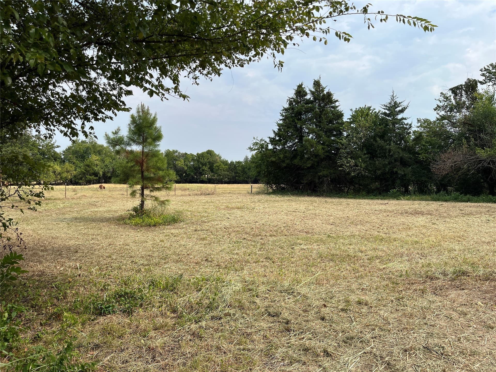 5.63 acres in Fannin County - photo 7