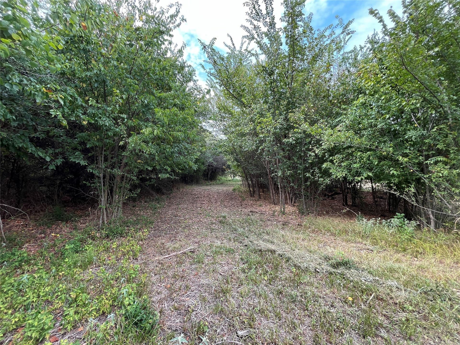 5.63 acres in Fannin County - photo 18