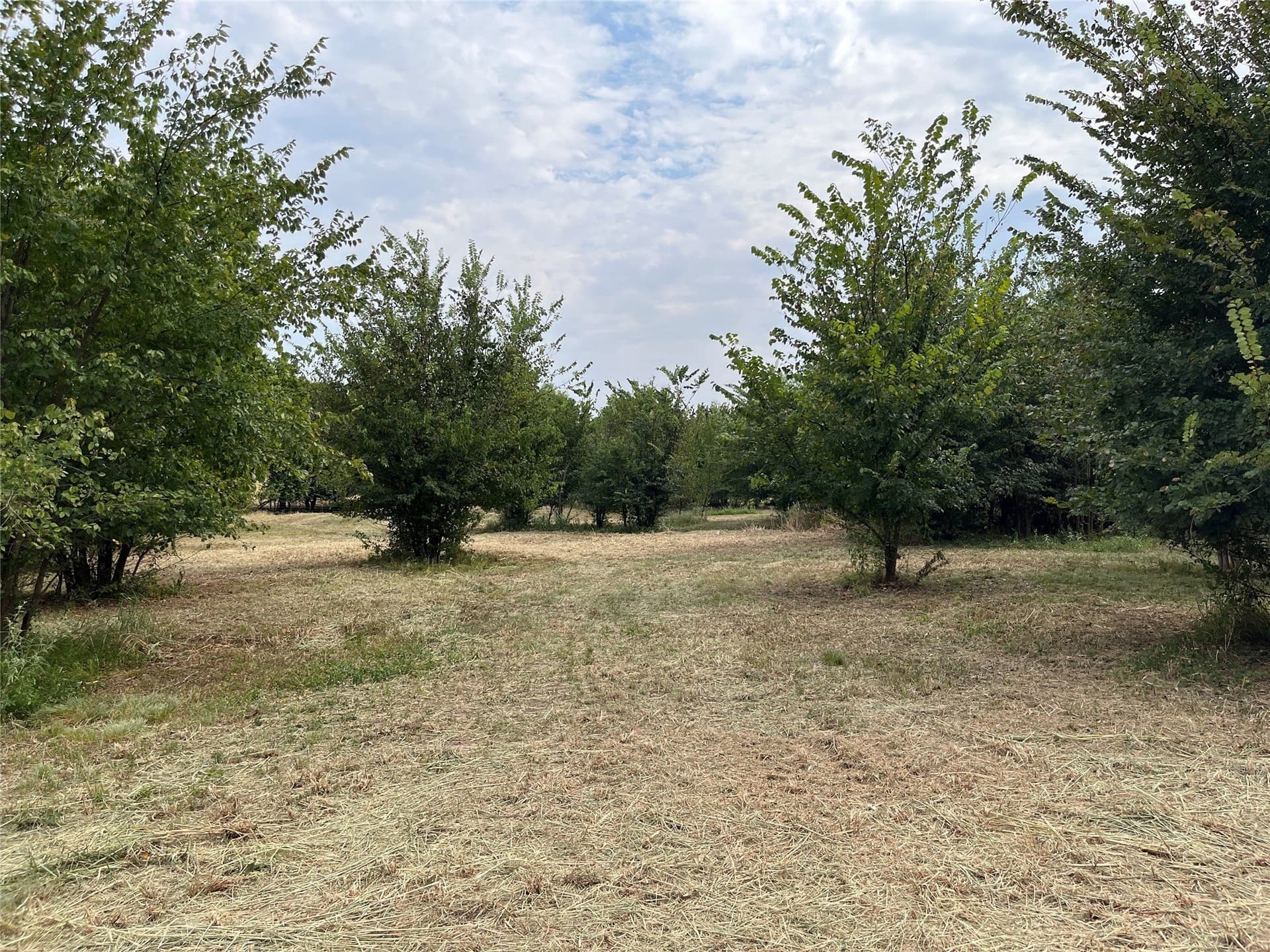 5.63 acres in Fannin County - photo 16