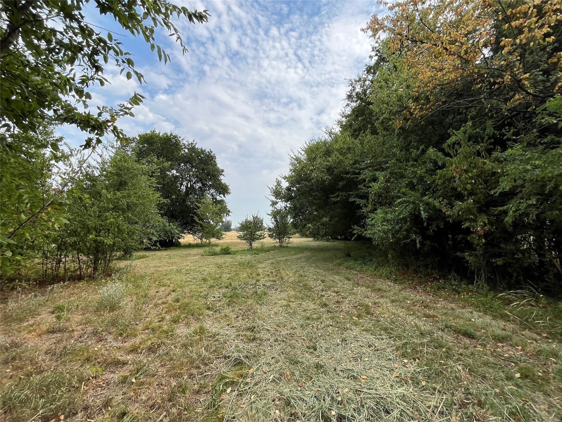 5.63 acres in Fannin County - photo 21