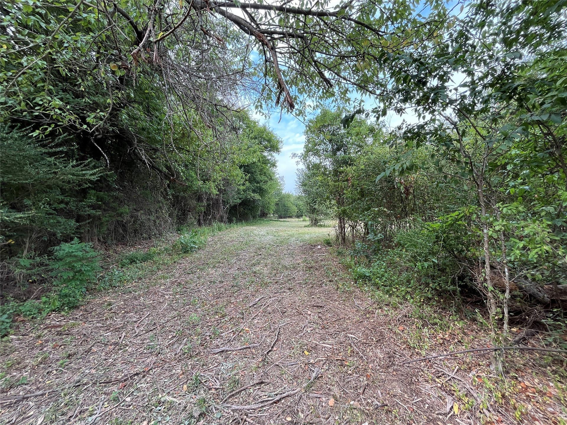 5.63 acres in Fannin County - photo 22
