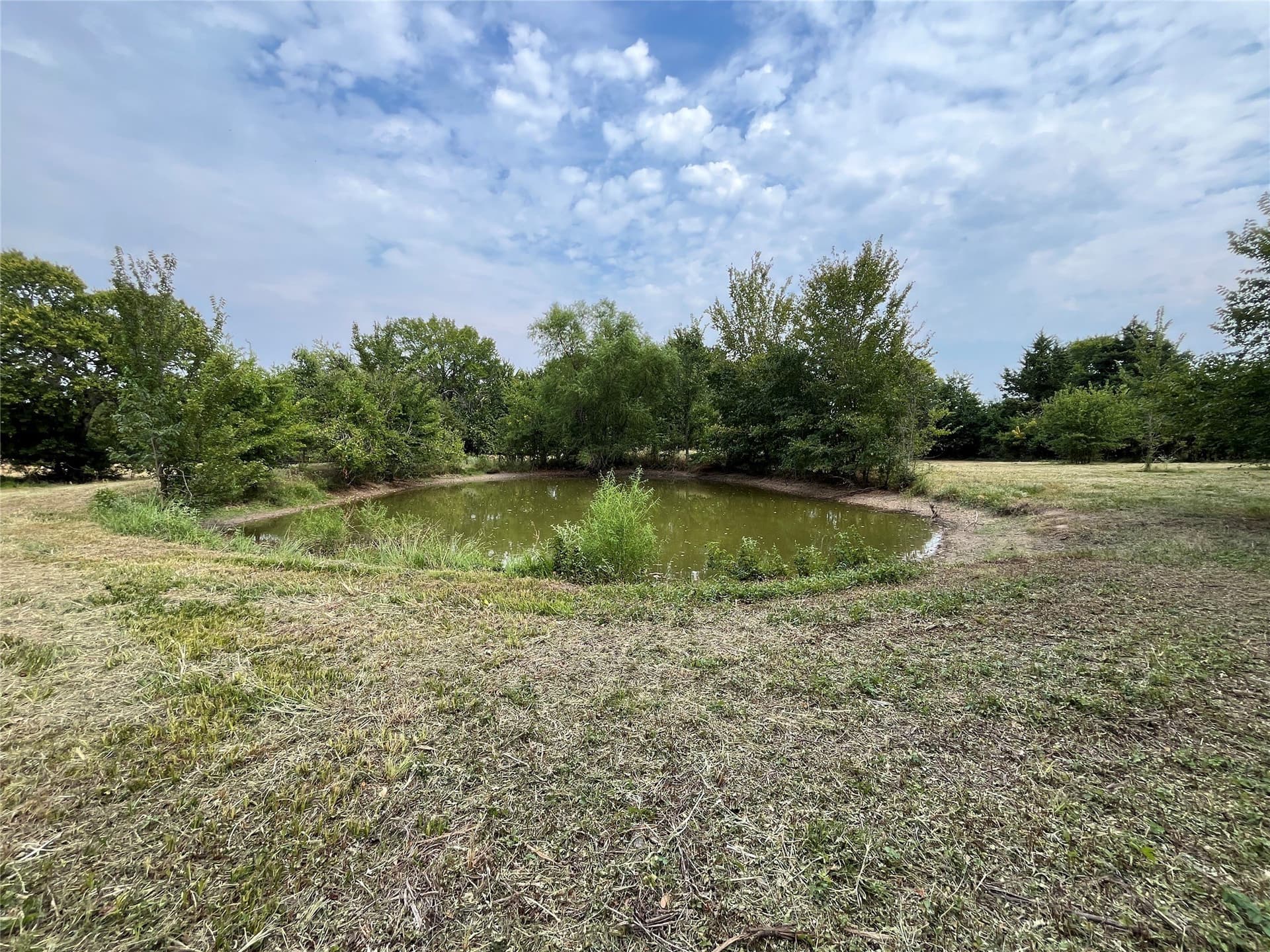 5.63 acres in Fannin County - photo 19