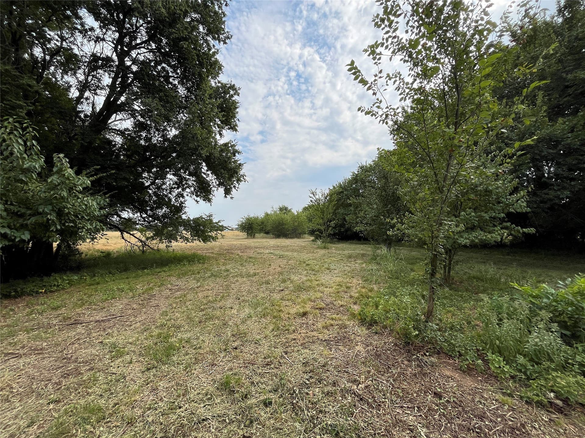 5.63 acres in Fannin County - photo 23
