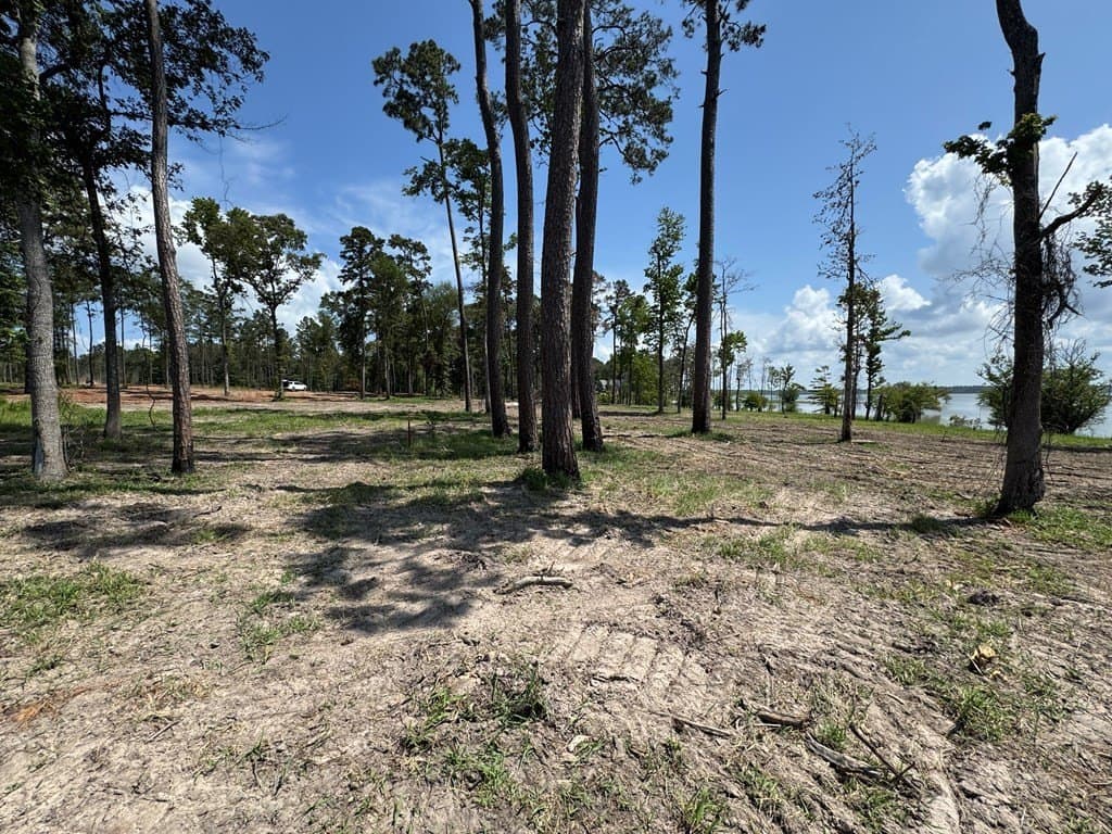 2.65 acres in Texas County - photo 7