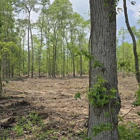 2.43 acres in Texas County gallery image 4