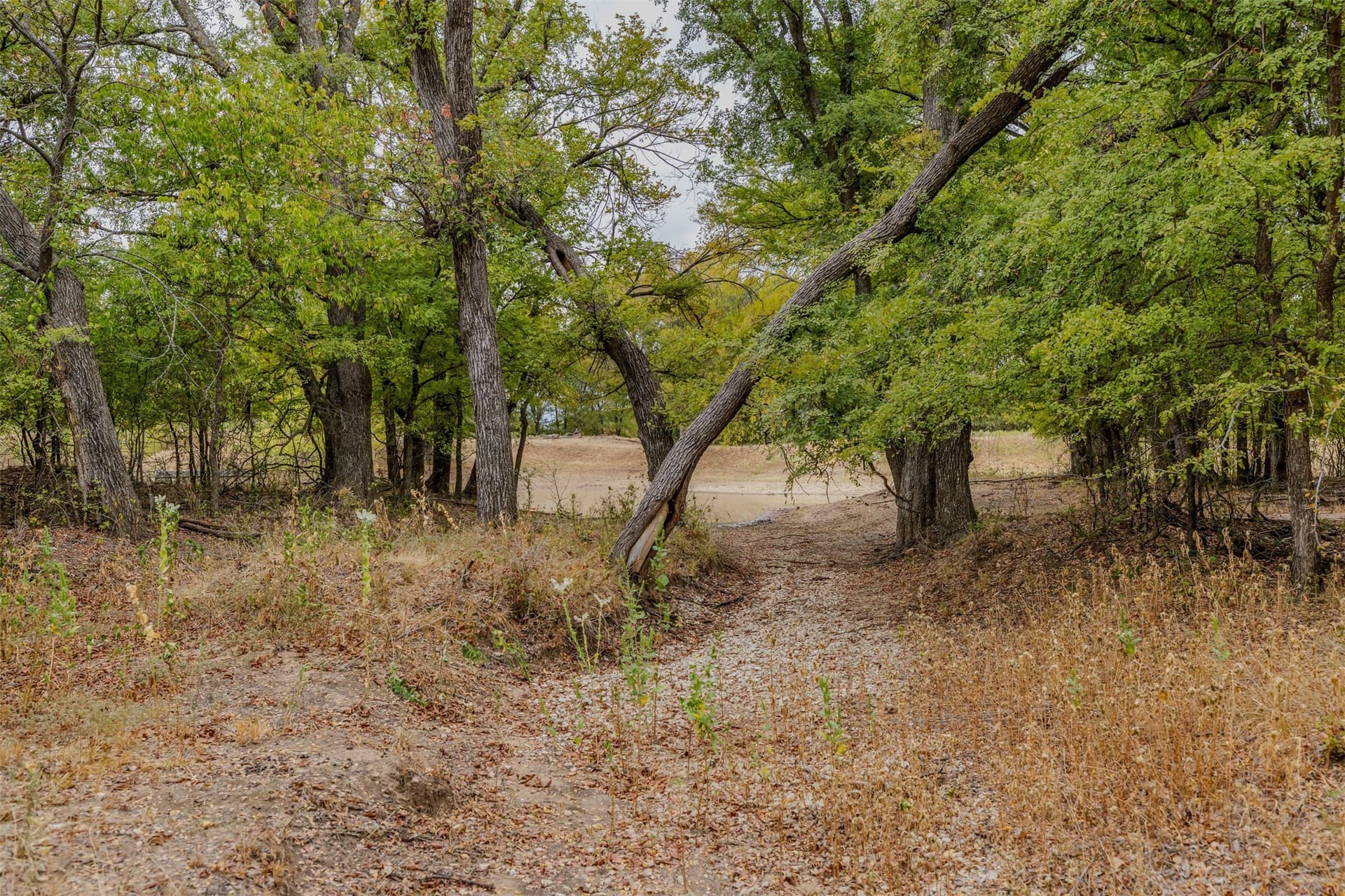 92.39 acres in Young County - photo 20