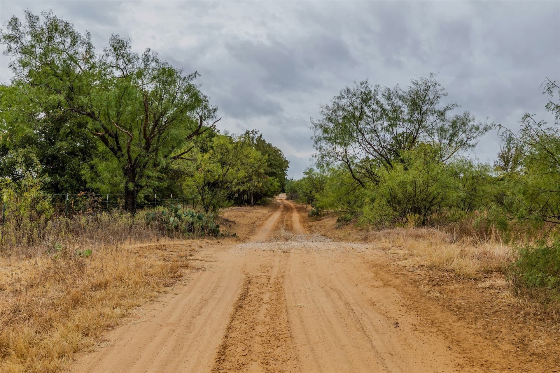 92.39 acres in Young County - photo 5