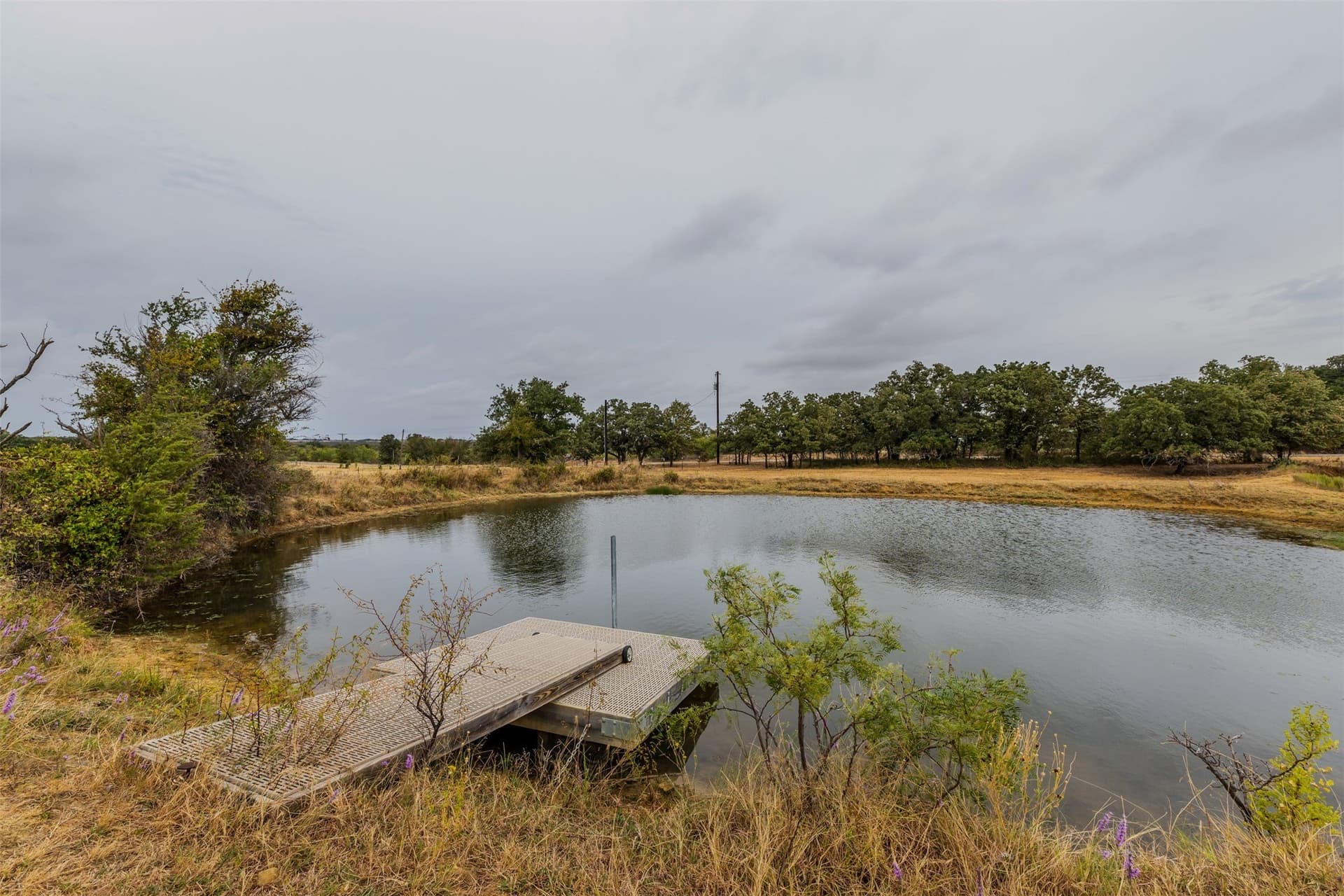 92.39 acres in Young County
