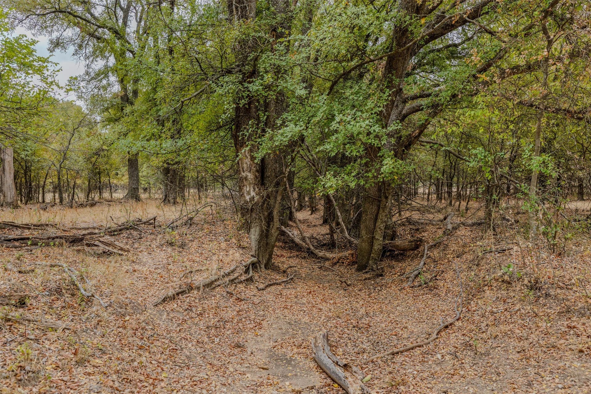92.39 acres in Young County - photo 19