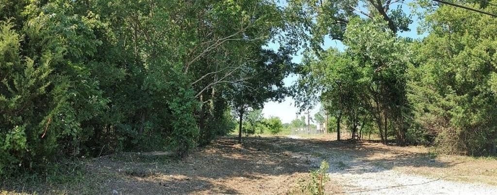 82.33 acres in Grayson County gallery image 3